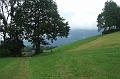 2011-08- (474)